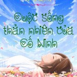 Cuộc sống thản nhiên của Cố Ninh