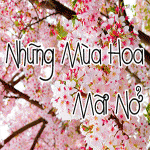 Những mùa hoa mãi nở