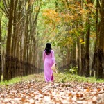 Rừng Chưa Thay Lá – Trần Thị Bảo Châu