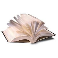 Vợ Trước Giá Trên Trời Của Tổng Giám Đốc – Phần 2