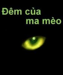 Đêm Của Ma Mèo