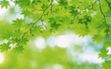 Dừng Lại Đi Anh, Khi Tất Cả Còn Chưa Muộn Dừng Lại Đi Anh, Khi Tất Cả Còn Chưa Muộn