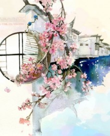 Chuyện Tình Của Sơ Tâm